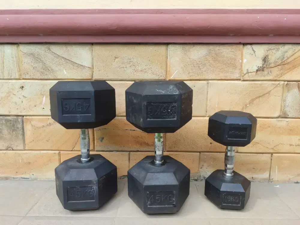 Dumbell barbel 45 KG sepasang