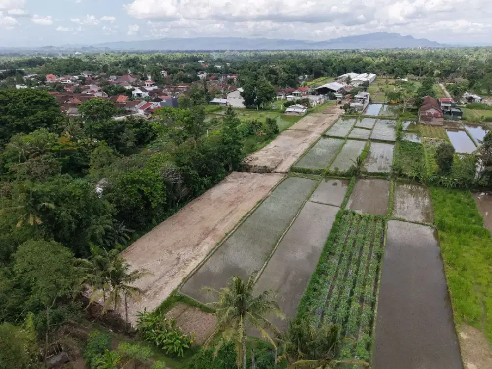 Tanah SHM 15 Menti Kampus UGM, Mangku Jalan Pandowoharjo