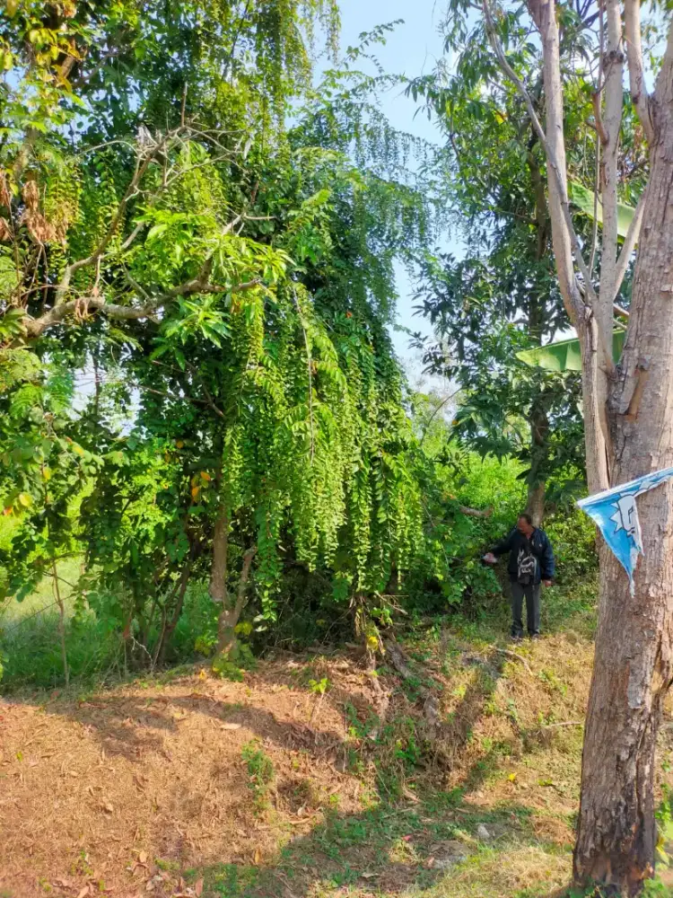 Jual tanah di sukoharjo jawa tengah
