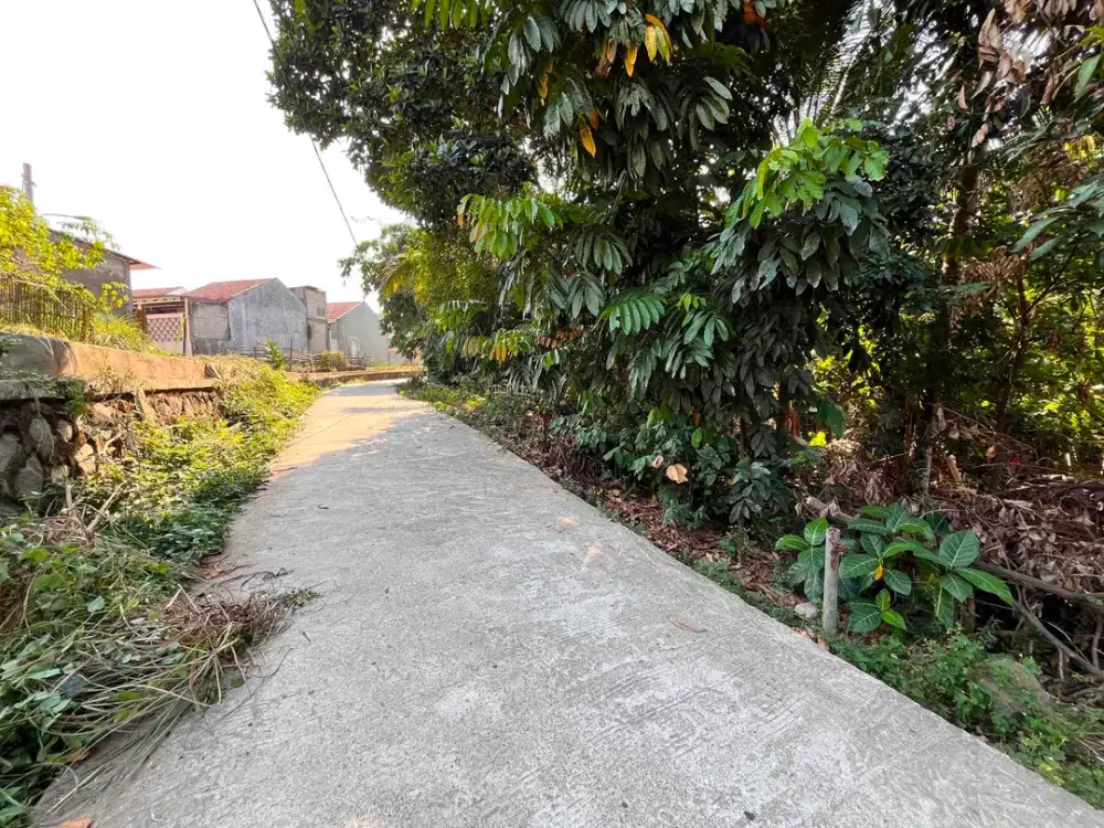 TANAH MURAH DAN STRATEGIS DI GUNUNG SINDUR KABUPATEN BOGOR