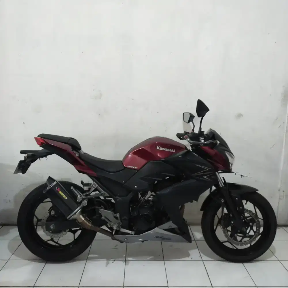 Kawasaki Ninja Z250 2016 Orisinil Mesin Aluss