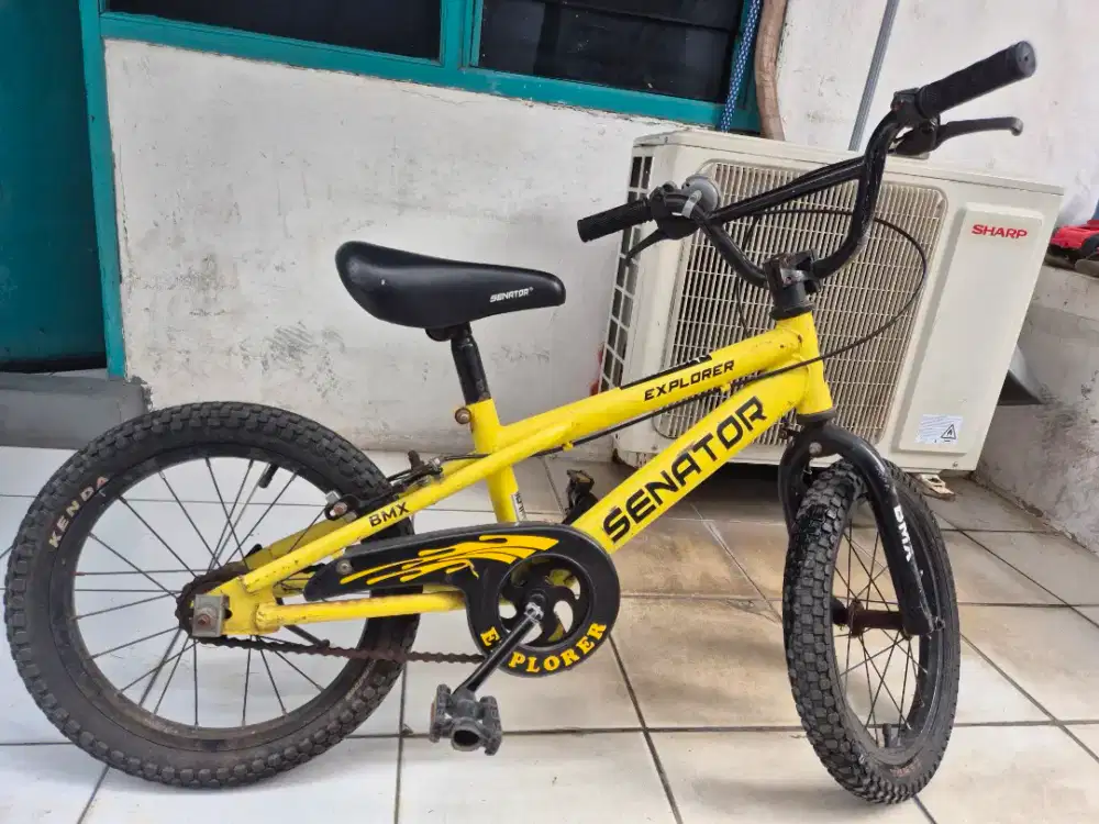 Sepeda anak usia 4 - 6 tahun