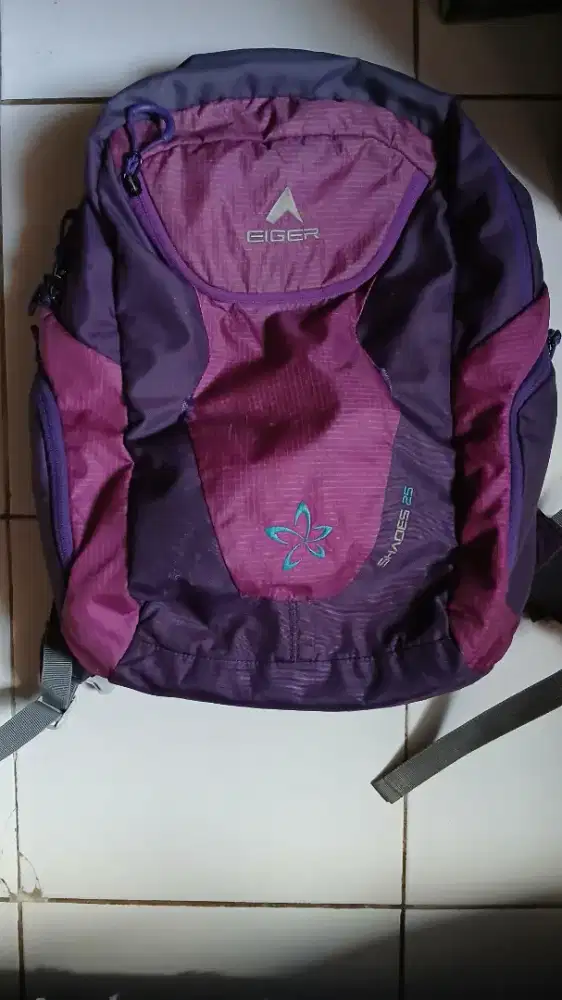 Tas Ransel Eiger 25L