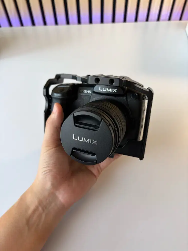 Panasonic Lumix GH5 + 12-60mm kit lens