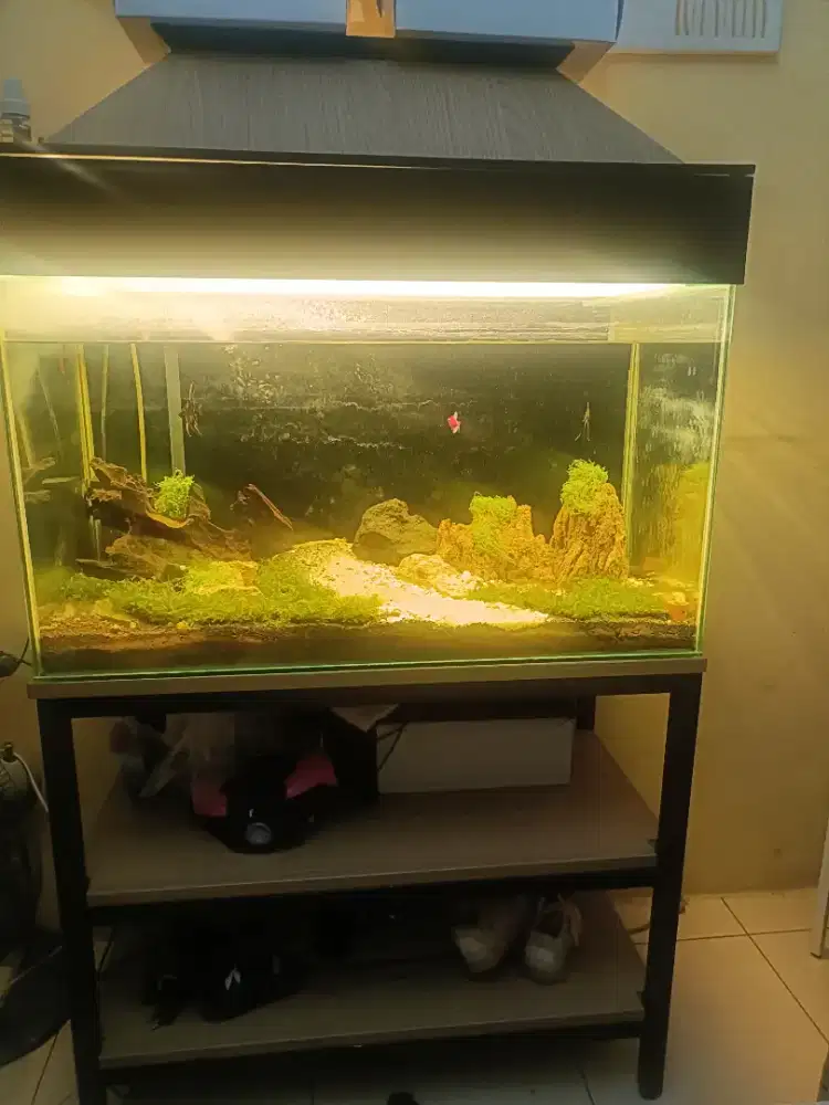 Di jual aquarium costum