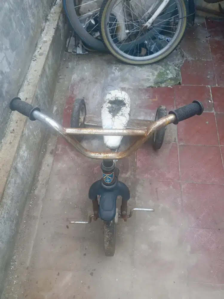 sepeda roda tiga