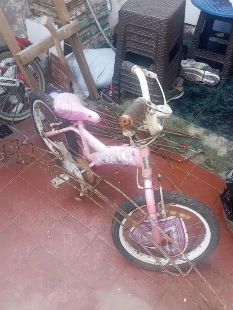 sepeda anak perempuan