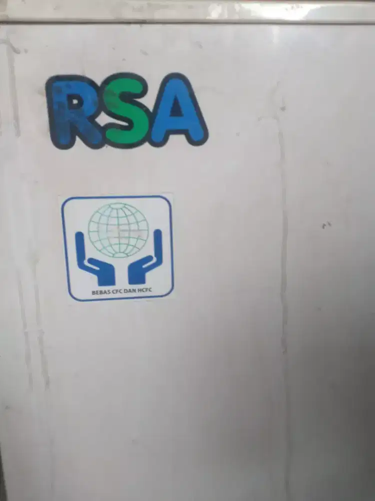Frezer box RSA 300 liter