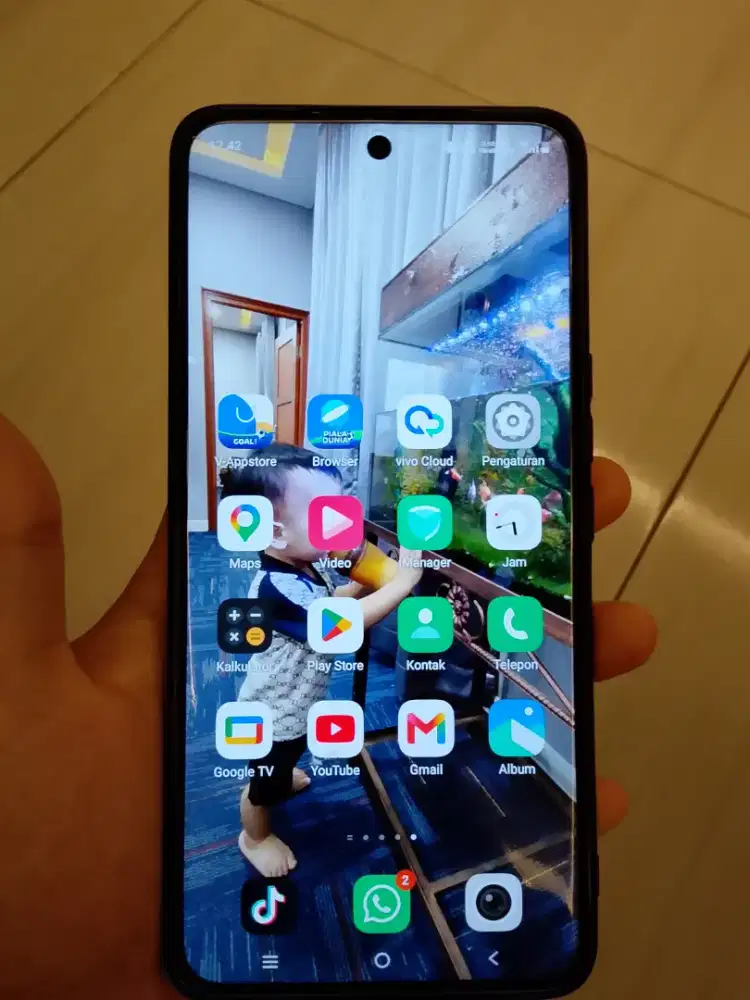 Vivo V50 5g 12/256