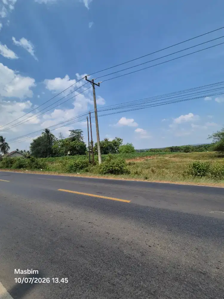 Tanah di tepi jalan Pekalongan lampung timur