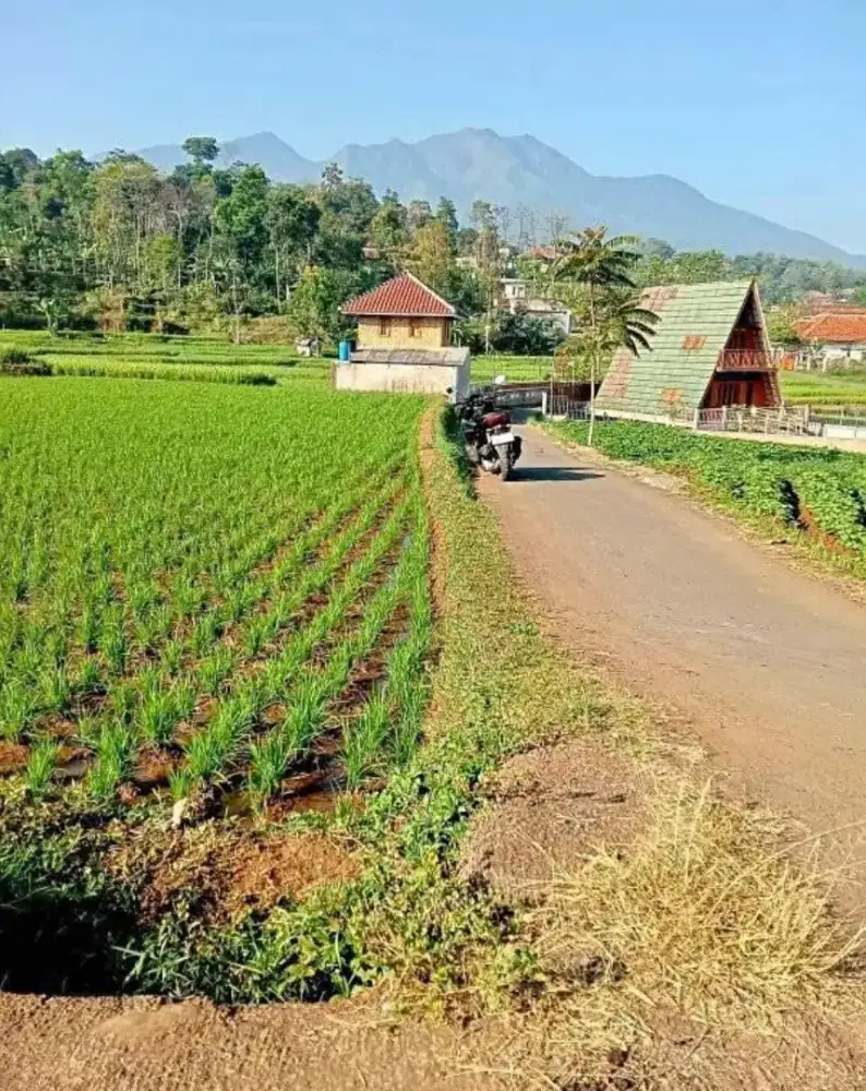 JUAL LAHAN VIEW PEDESAAN MASIH ASRI