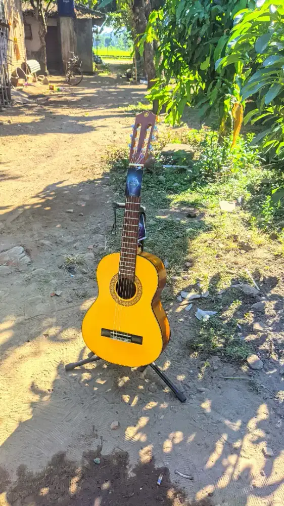 Gitar Akustik Classic 3/4 Yamaha C315 High Quality Baru