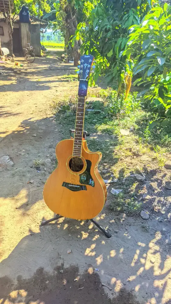 Gitar Akustik Taylor High Quality Baru