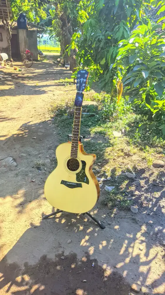 Gitar Akustik Taylor High Quality Baru