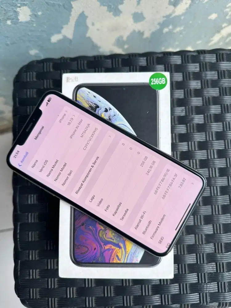 Xs max 256 inter