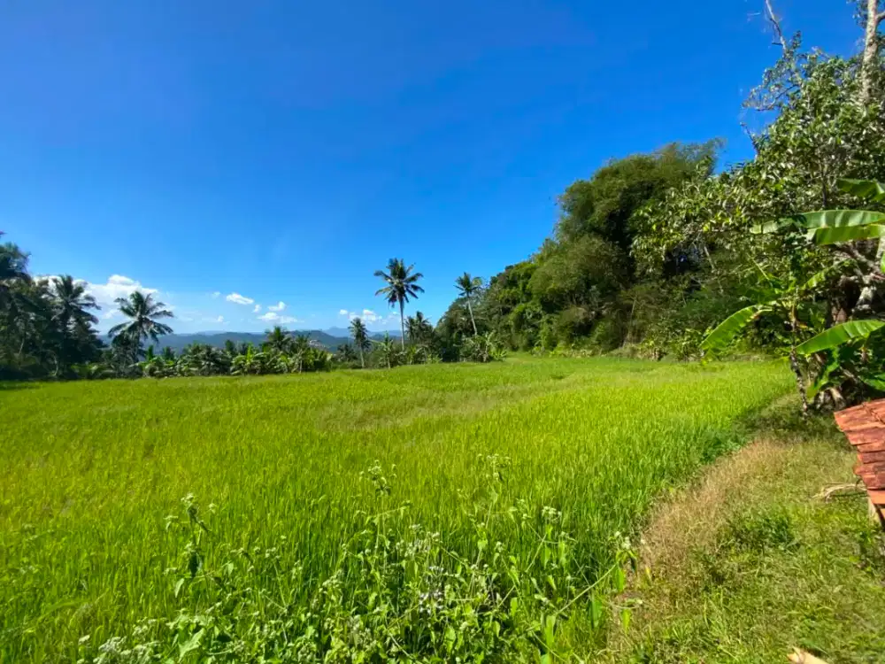 Tanah di jual lokasi di tasik cibalong
