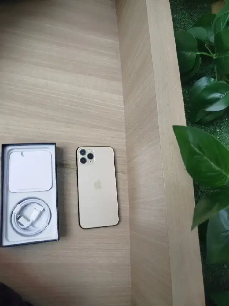 iPhone 11 pro 256gb pas aja lah gan