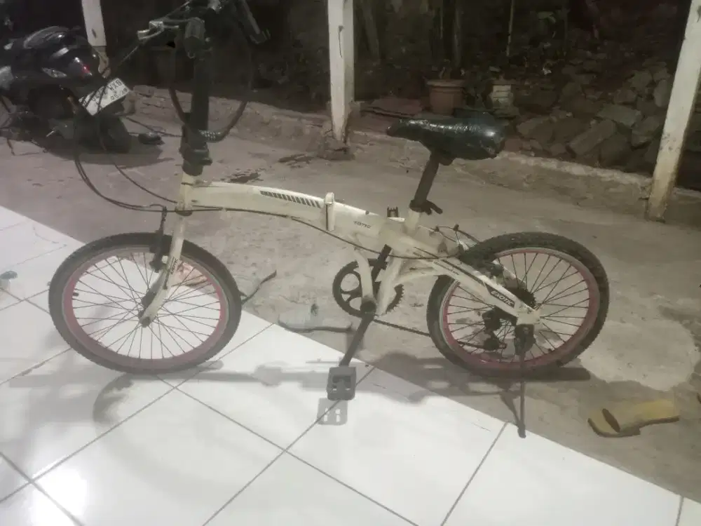 Speda lipat mrek exotic