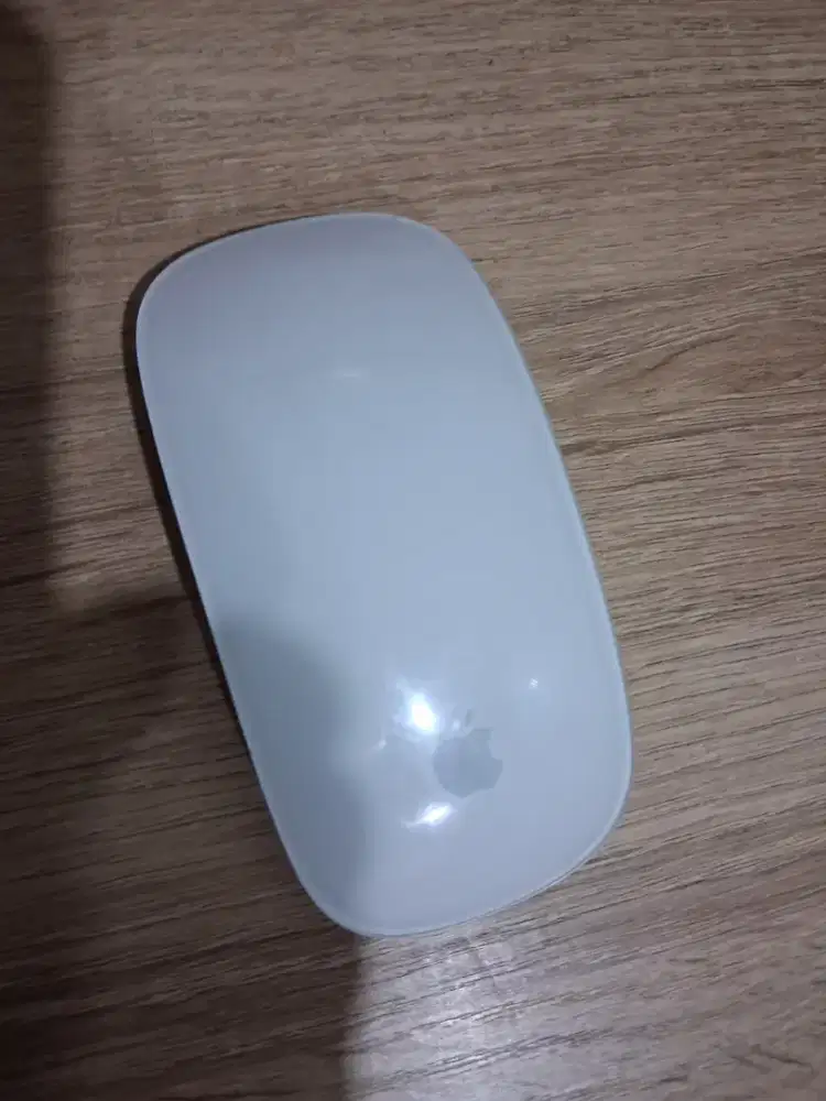 Mouse apple gen 2