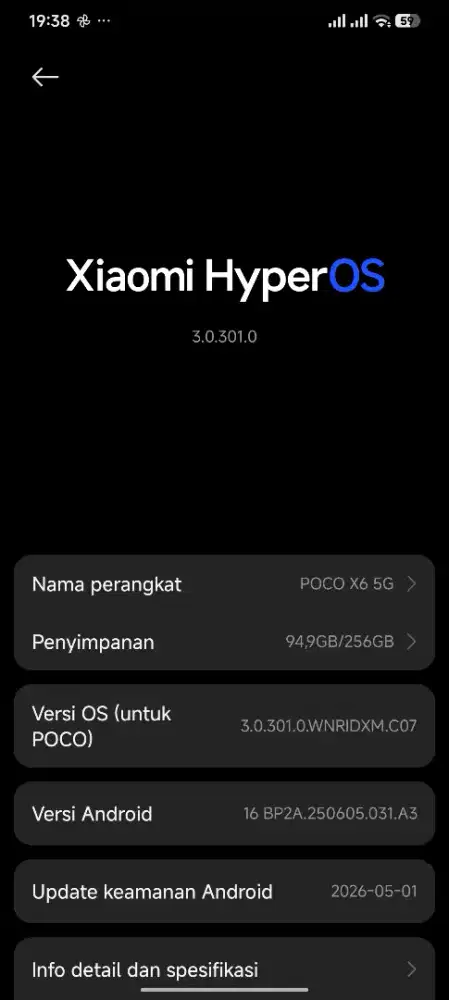 Poco X6 256/12 GB 5G