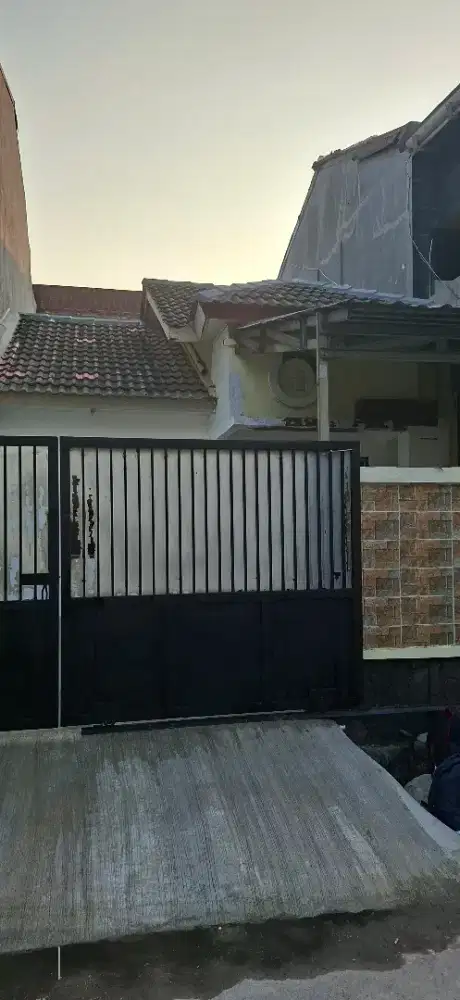 Disewakan rumah cluster palem taman royal