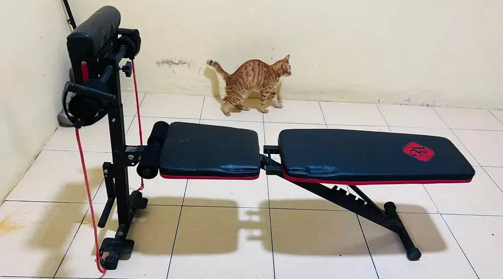 Kursi Gym Bench Sit Up Bisa Di Lipat Kursi Exercise Gym