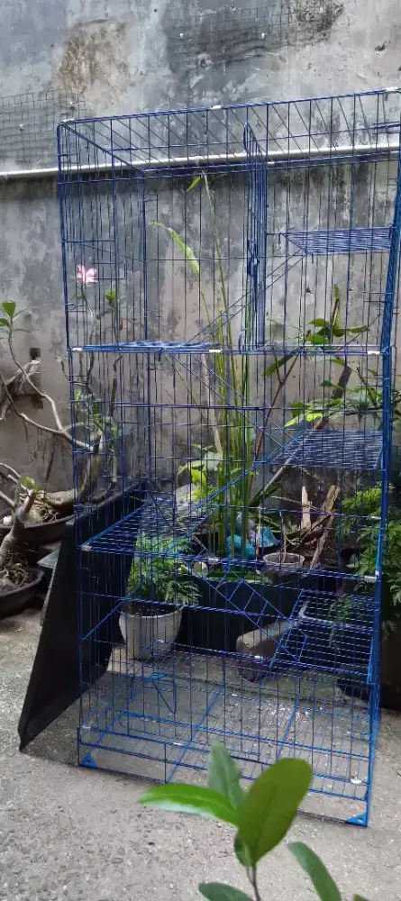 Kandang kuncing