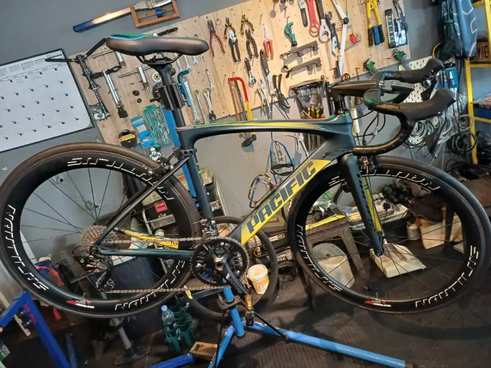 Sepeda Balap Roadbike Pacific Premium 5.3