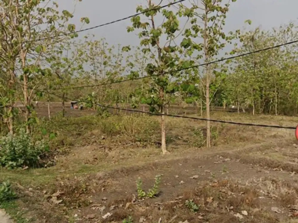 Dijual Tanah Pekarangan Zona Kuning Lokasi Gondangrejo, Karanganyar Luas 5000m2