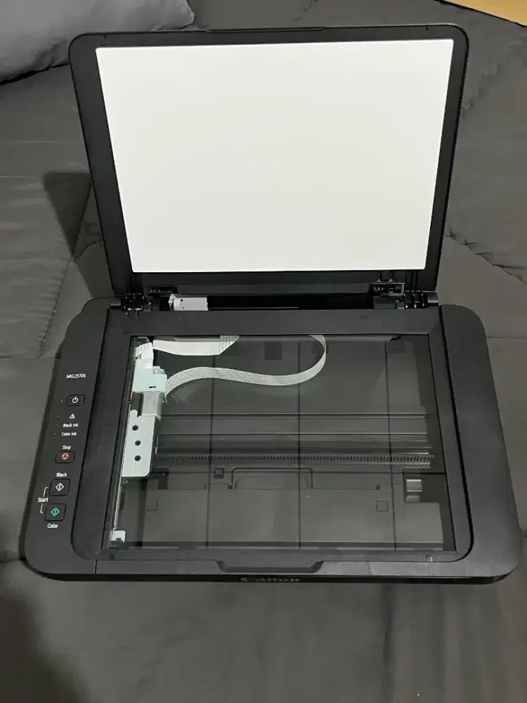CANON PIXMA MG2570S