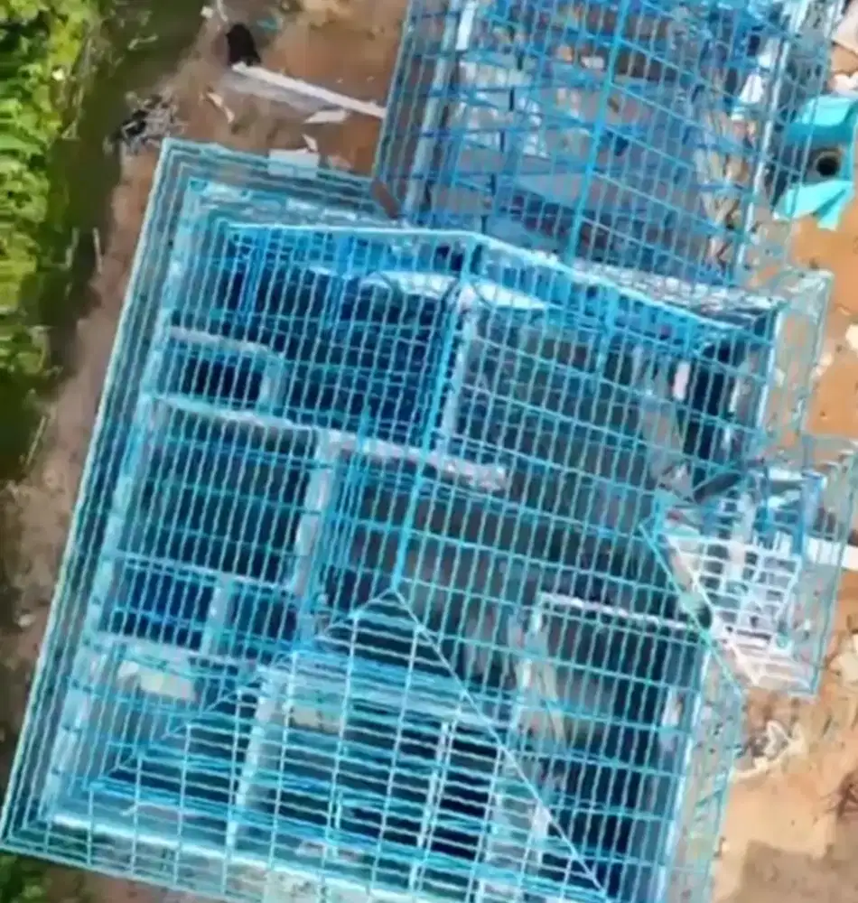 Kontruksi baja ringan dan pembuatan kanopi