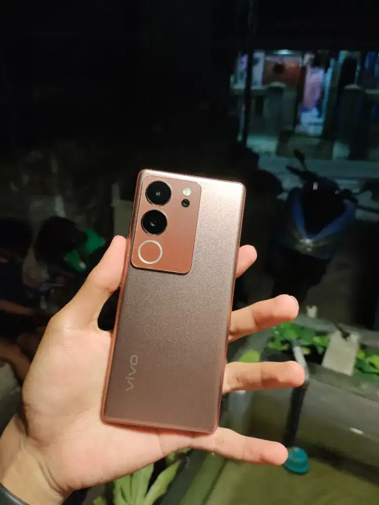 Vivo V29 8/256 mulusss