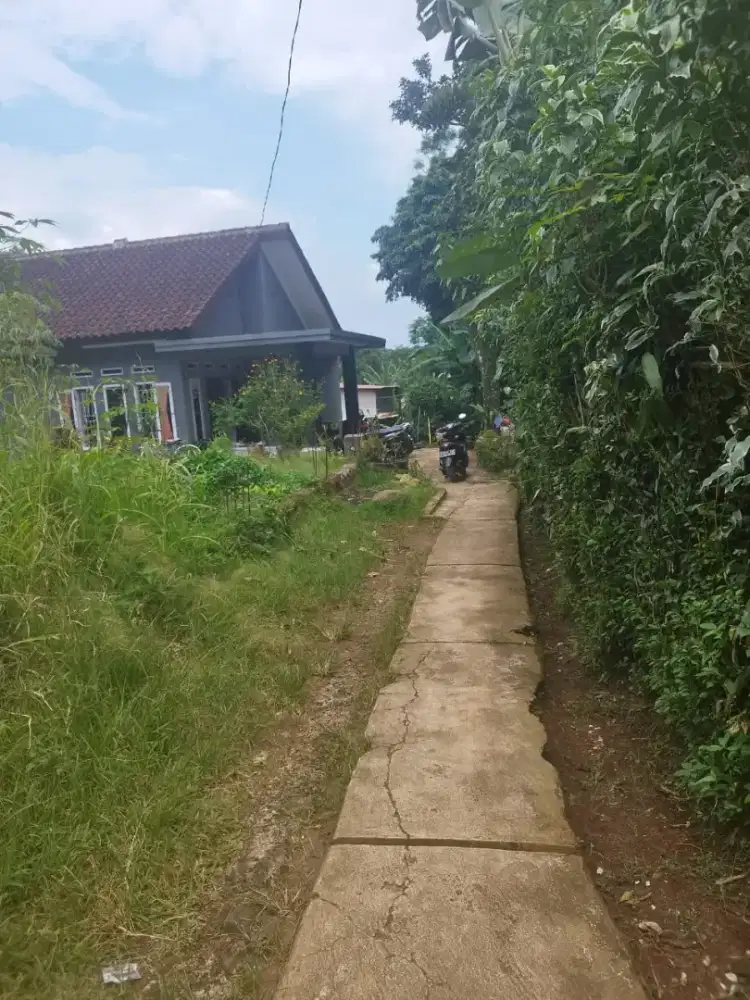 DIJUAL TANAH DENGAN HARGA NEGO
