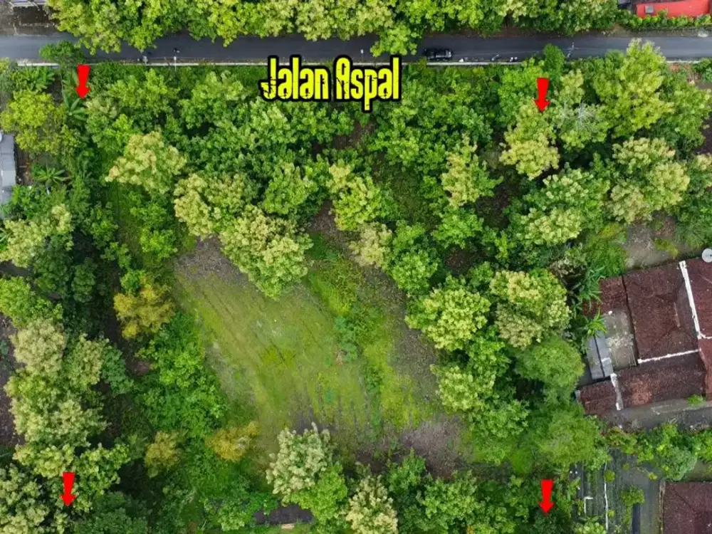 Tanah Pekarangan dekat JJLS