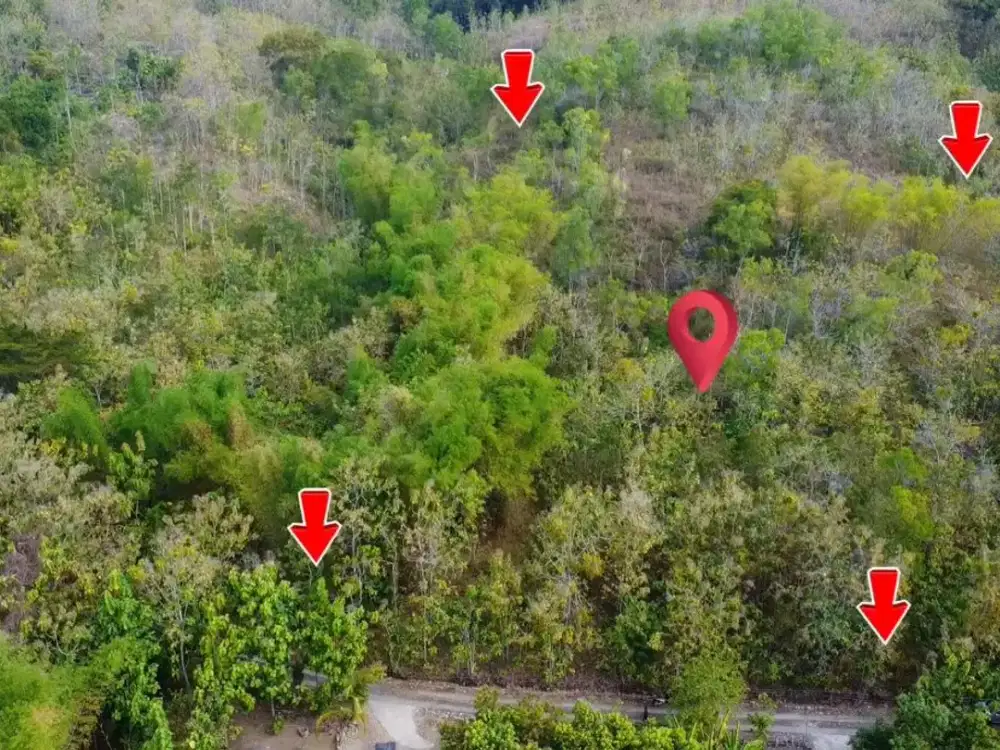 Pekarangan Datar