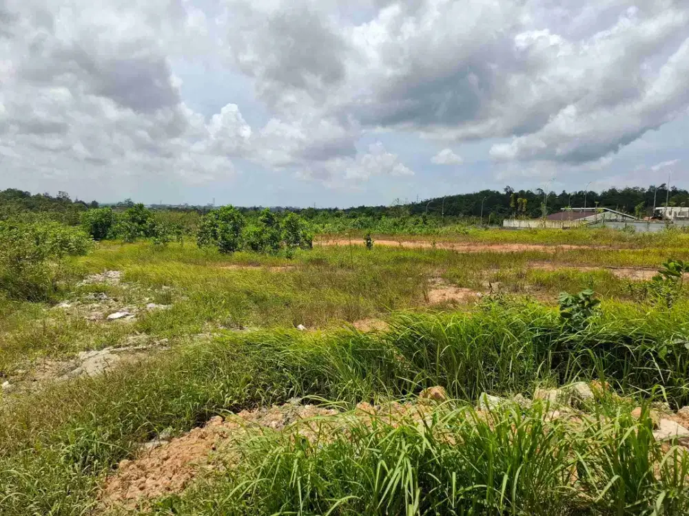 Dijual Tanah Kariangau Km. 13