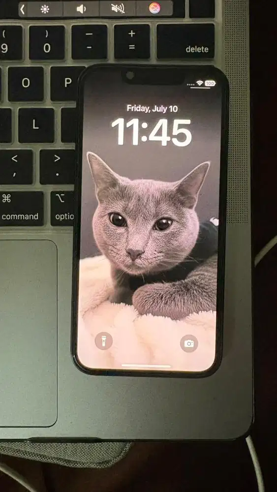 Iphone 13 mini 128gb blue