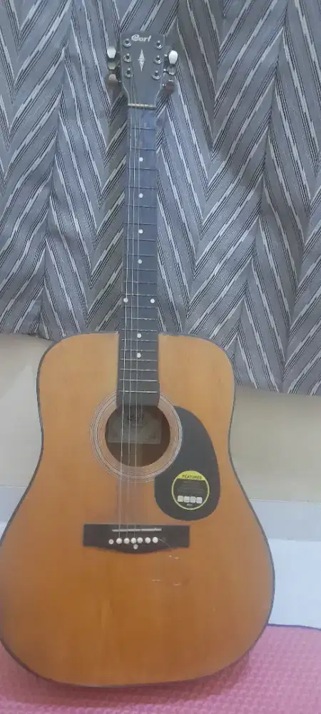 Dijual cepat gitar