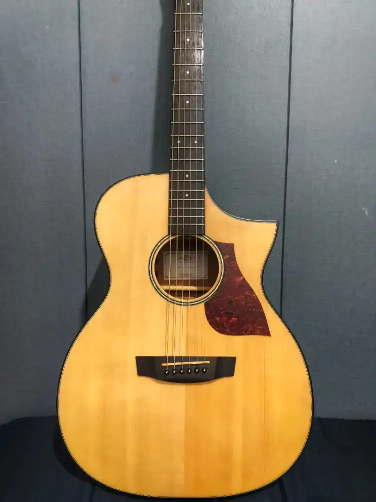 Gitar Akustik Elektrik HEX F100CE