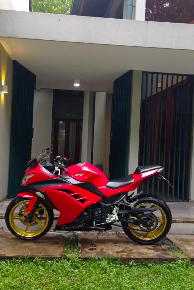 ninja 250 F1 2015