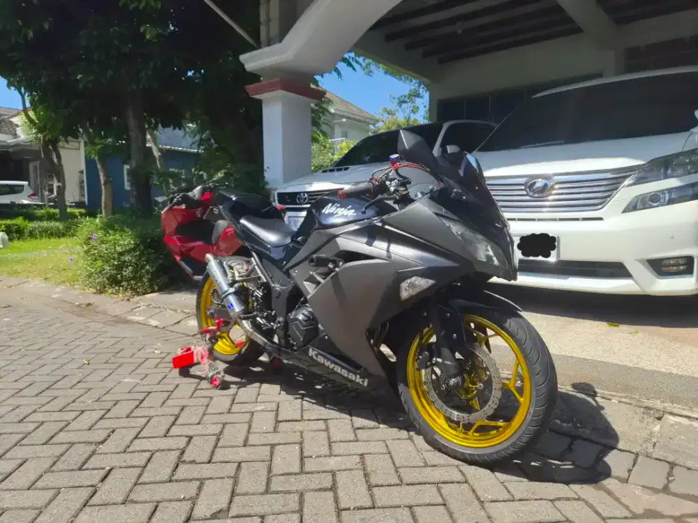 Kawasaki Ninja 250fi 2014 Modif Harian