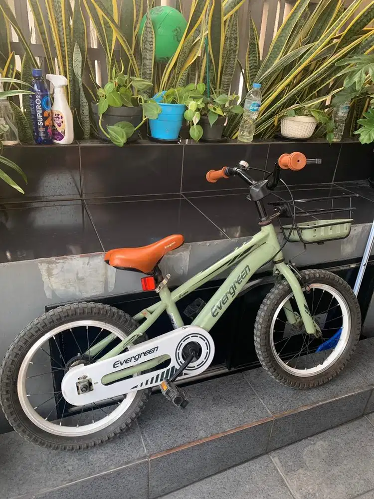 Sepeda anak 16 inch