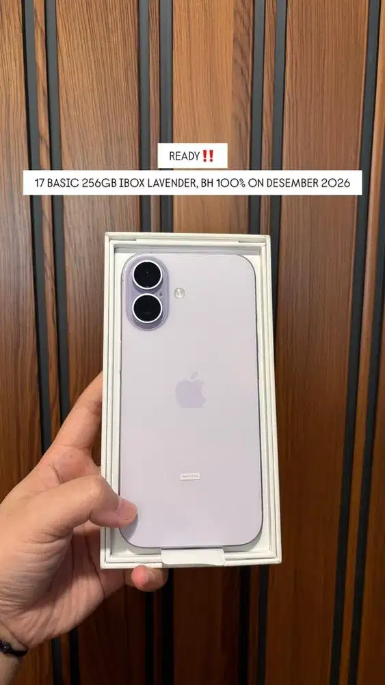 17 256 IBOX LAVENDER