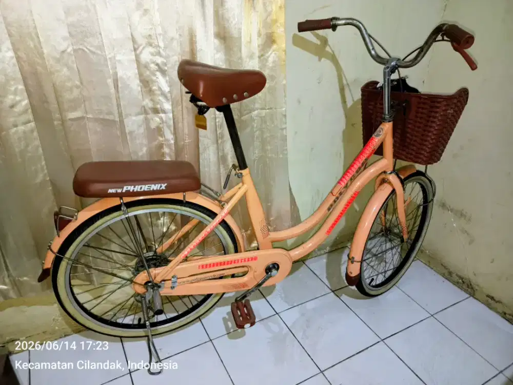 Sepeda keranjang 26inci