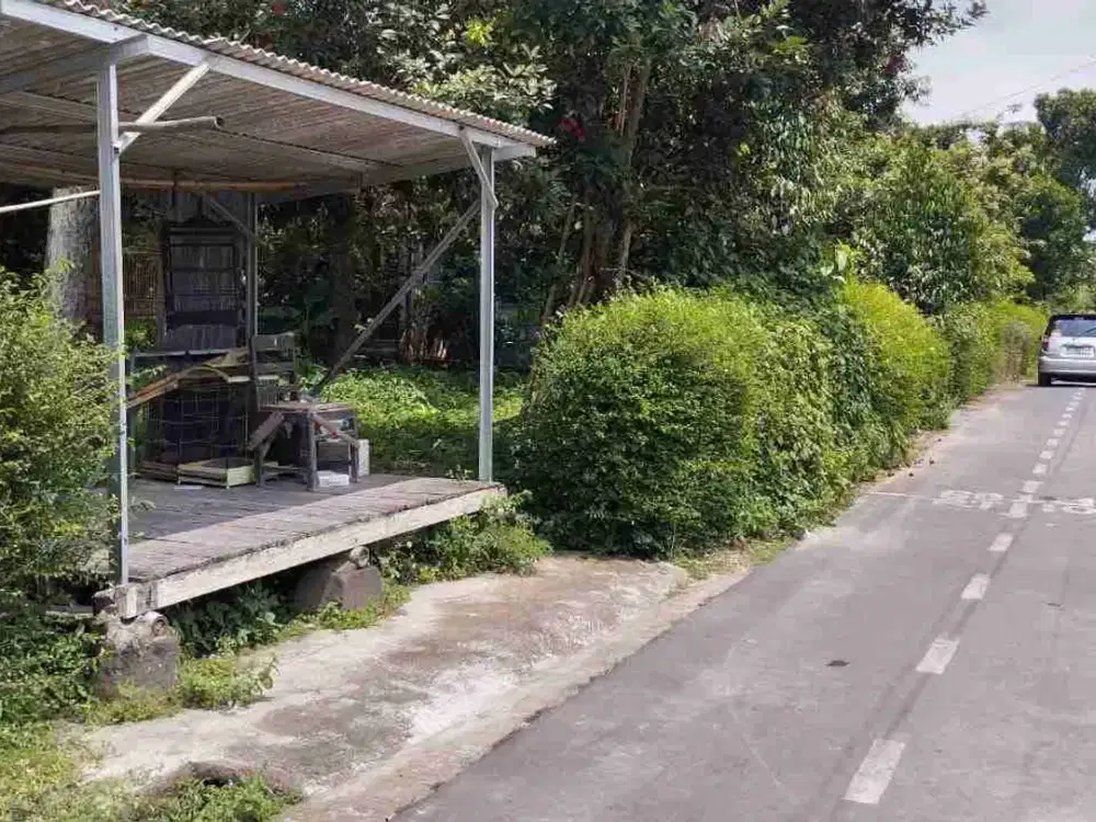 tanah murah banyak pohon berbuah dan sumber mata air cangkringan banyudono