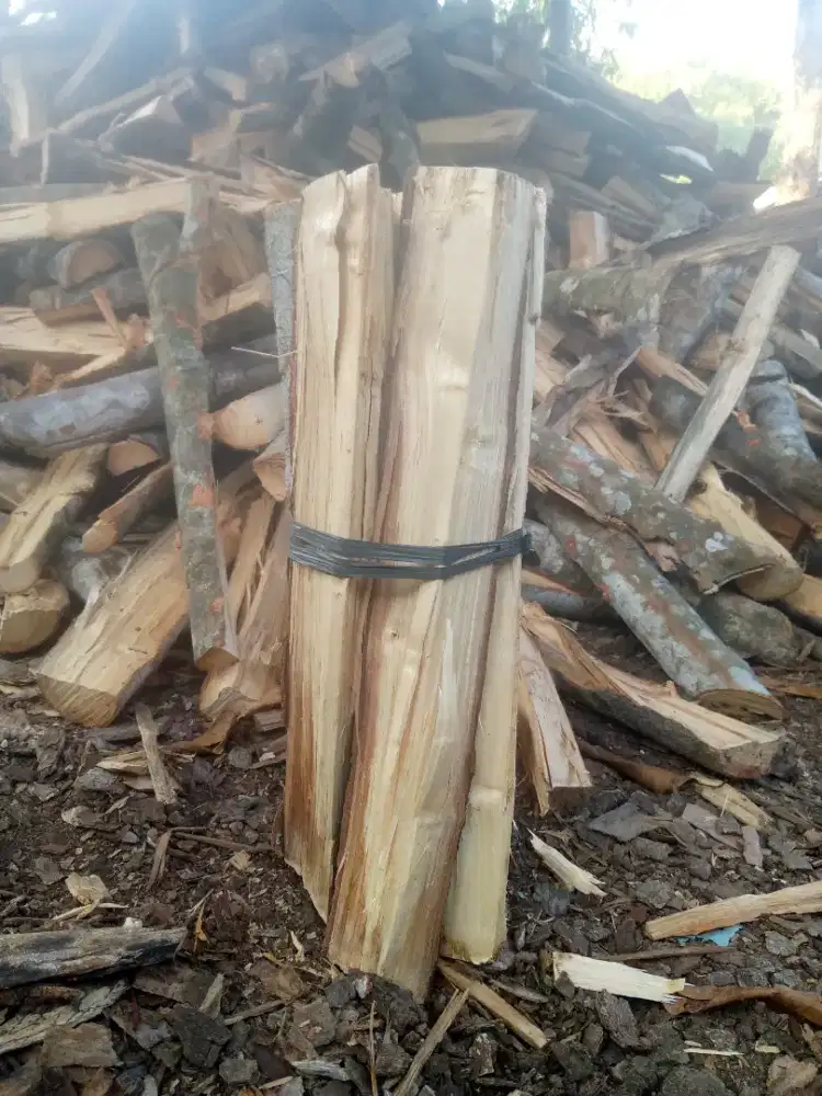 Kayu karet bakar