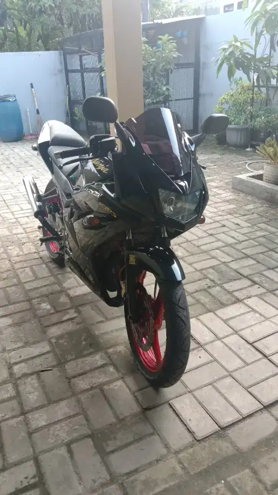 Kawasaki ninja new rr