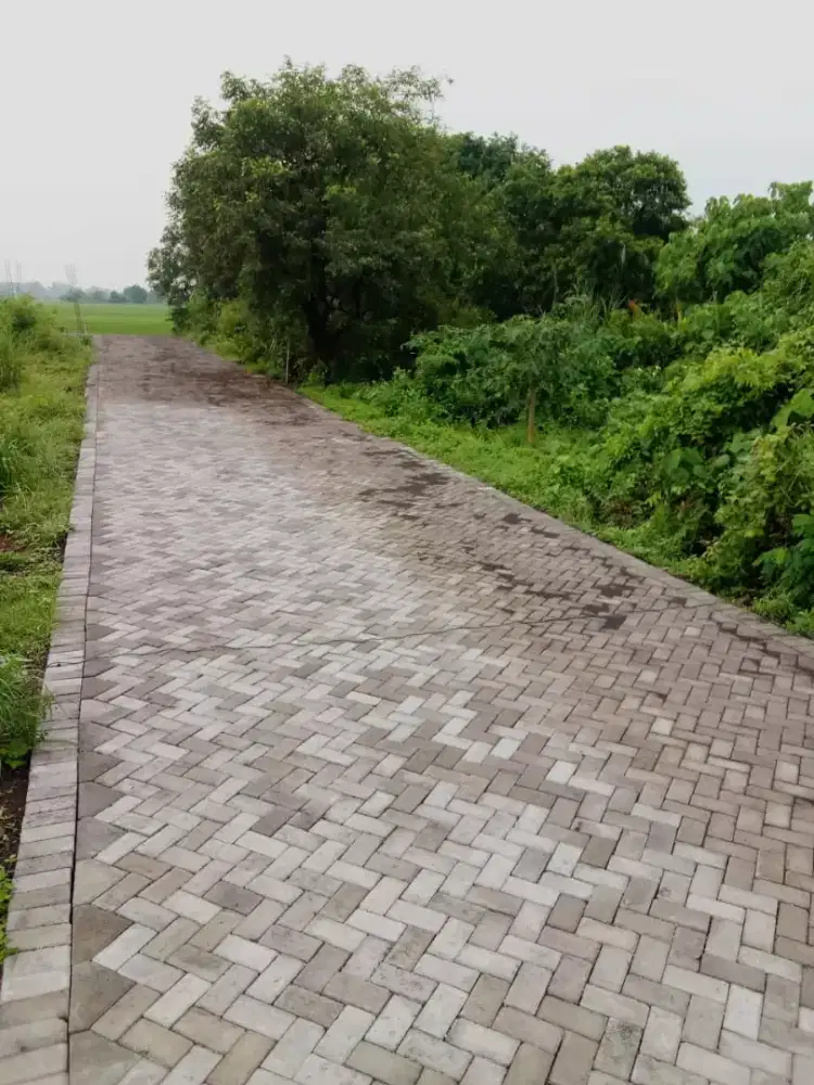 Jasa pasang Paving khusus paving ahlinya pasang