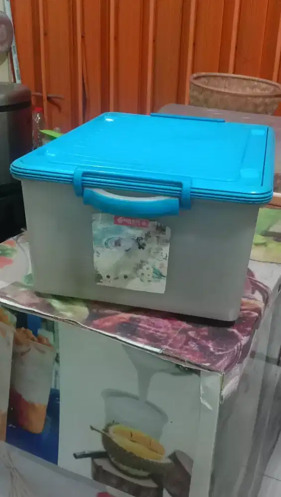 Box kontainer Lion star