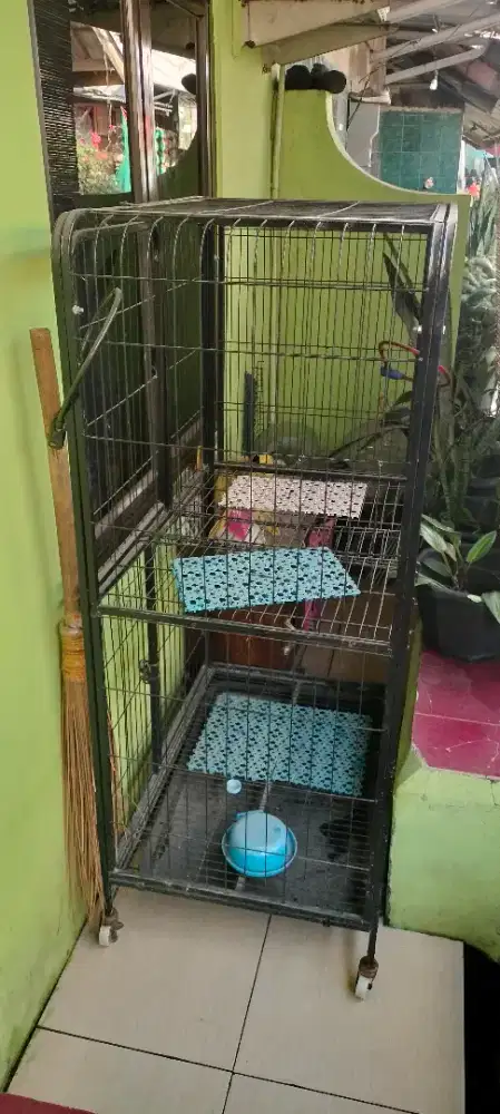 Jual kandang kucing/kelinci